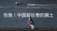 告急！中国最珍贵的黑土正在加速流失！